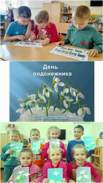 Подснежник - первый весенний цветок.