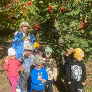 Именины для рябины.