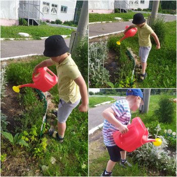 Наши маленькие садовники в деле!