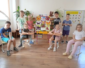 Бабочки-красавицы, всем нам очень нравятся!