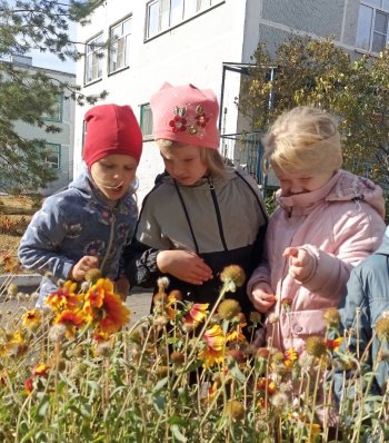 Постучалась снова в двери Осень 